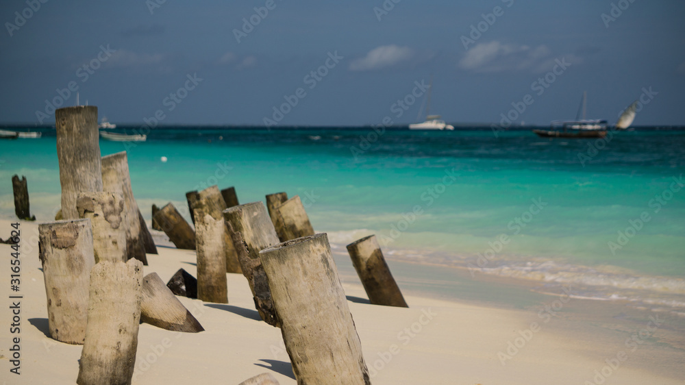 Holzstam am Strand Afrika Sansibar