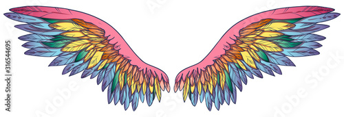 Beautiful magic rainbow gradient wings
