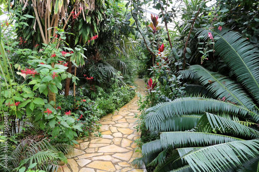 inside Botanical Garden Green House