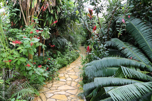 Obraz na płótnie inside Botanical Garden Green House w salonie