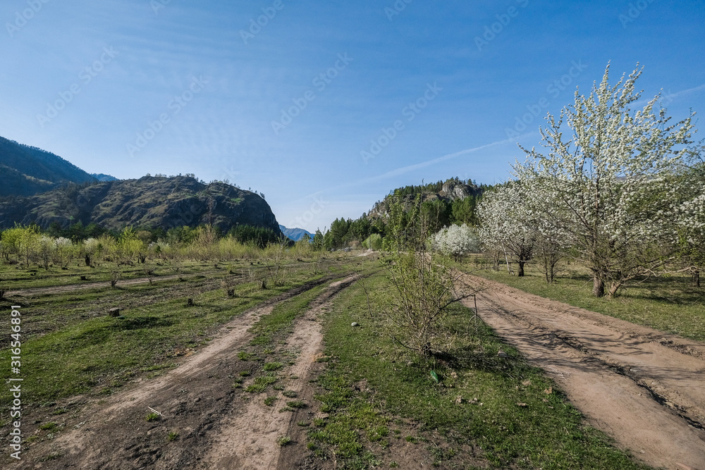Naklejka premium Rural road in the mountains