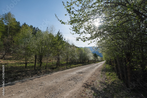 Rural road in the mountains © evelinphoto