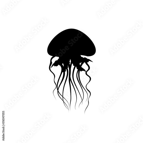 jellyfish vector illustration