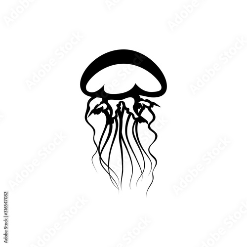 jellyfish vector illustration