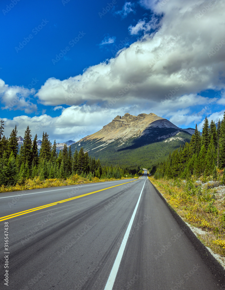 Fototapeta premium Sunset. Northern autumn
