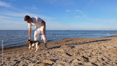 Handsome guy play with young cute beagle dog on beach, dangle wooden stick at sand. Slow motion shot, clumsy doggy run to catch wand, man quickly turn and dodge, run forward photo