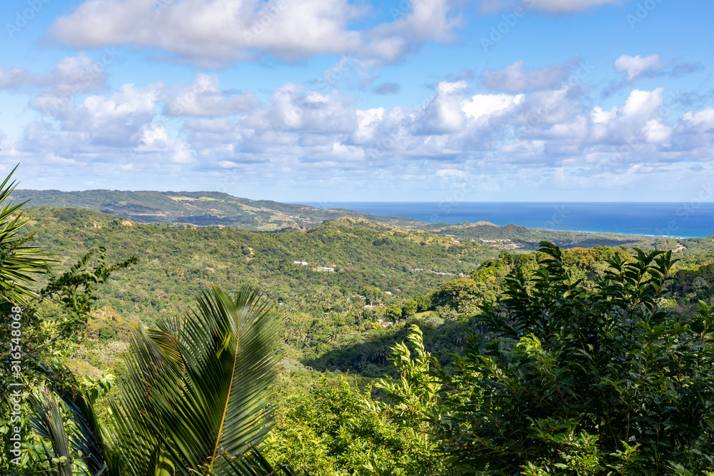 View to the east coast of Barbados from Flower Forest Botanical Garden, Barbados, West Indies