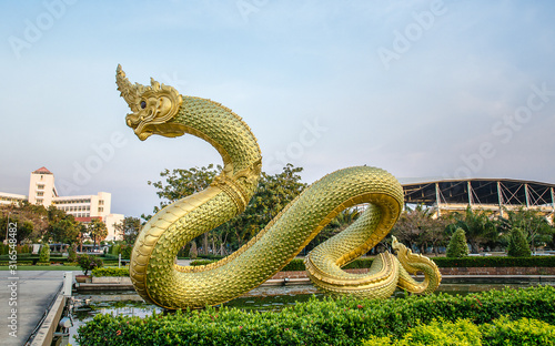 Tapety artystyczne naga