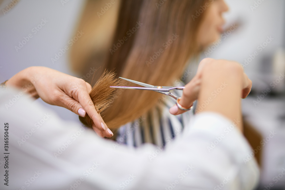 modern professional woman working as hairdresser and cutting hair tips of a female customer in beauty salon - obrazy, fototapety, plakaty 