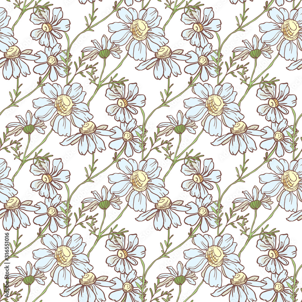 Seamless pattern with chamomile on white background Seamless pattern with chamomile on white background