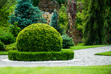 boxwood bush ornamental garden design