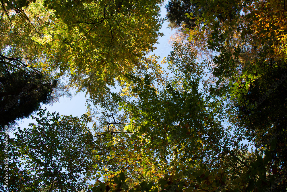 Fototapeta premium Ysperklamm hiking