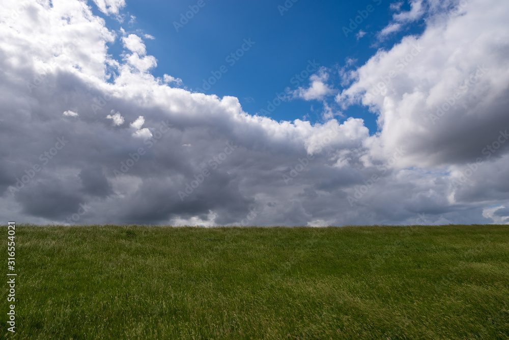 Picturesque green meadow with blue sky and dramatic clouds. Plain landscape