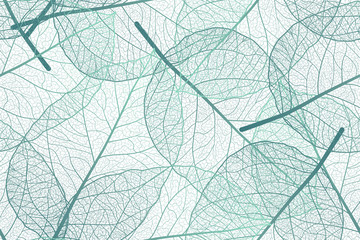 Sierkussen Bladnerven patronen Botanisch patroon met bladnerven  © O.Yu