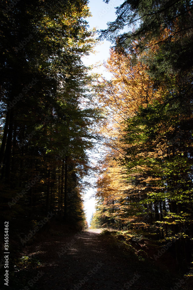 Ysperklamm hiking