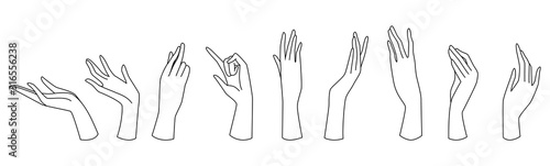 womans hand line art set collection, female hand drawing