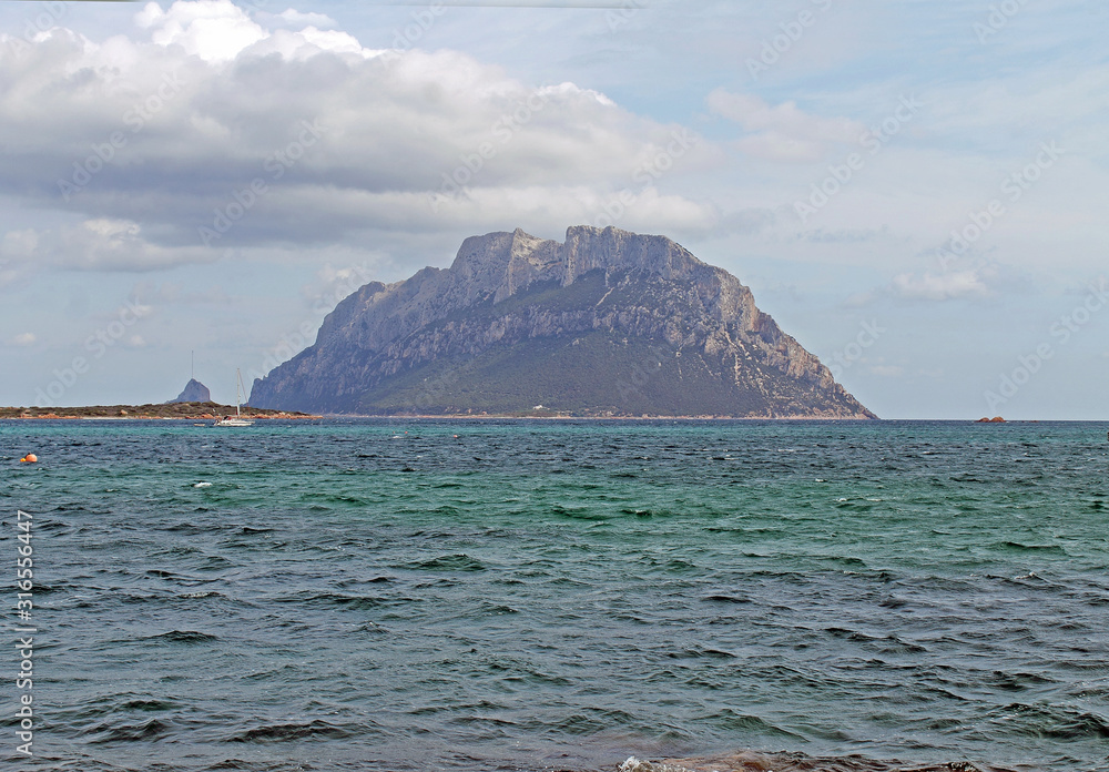 Isola Tavolara, Insel südlich von Olbia