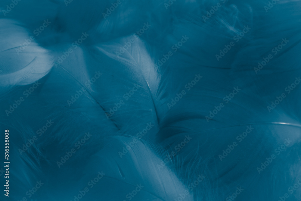 Obraz premium Beautiful abstract colorful green and blue feathers on white background and soft white feather texture on white pattern and blue background