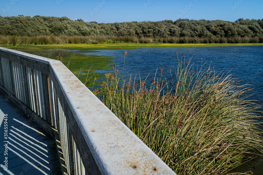 Wooden bridge across Oso Flaco Lake, California