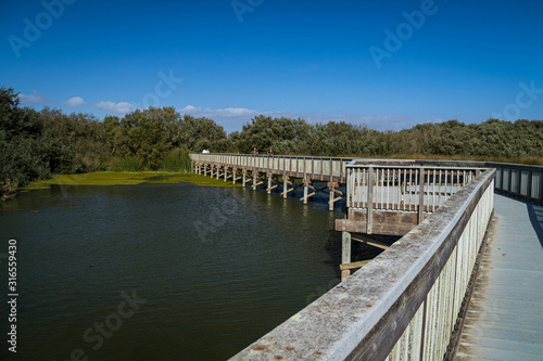 Wooden bridge across Oso Flaco Lake, California © Kathy Huddle 