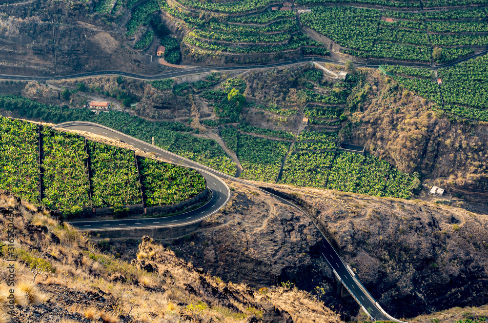View from above on banana plantations and winding roads on La palma, Canary islands, Spain View from above on banana plantations and winding roads on La palma, Canary islands, Spain