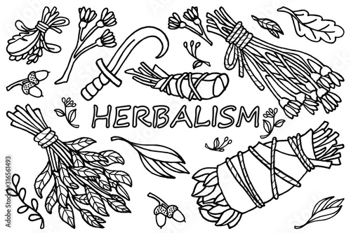 Hand drawing vector illustration. Ink sketch. Medicinal herbs, dry herbs for aromatherapy, sickle for collecting herbs. Herbalism, witchcraft, Wicca and occult. Botanical illustration. Coloring page
