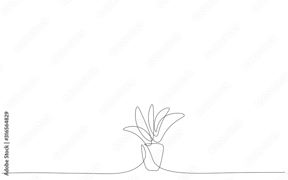 Fototapeta Plant in pot continuous line drawing vector illustration