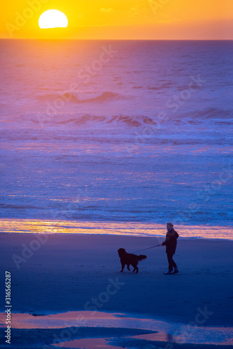 Fototapeta Naklejka Na Ścianę i Meble -  France. Picardie. Somme. sur la plage, à marée basse, un promeneur avec son chien, au coucher du soleil.  on the beach, at low tide, a walker with his dog, at sunset.