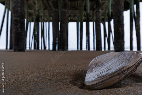 Old Orchard Beach Pier and sea shell