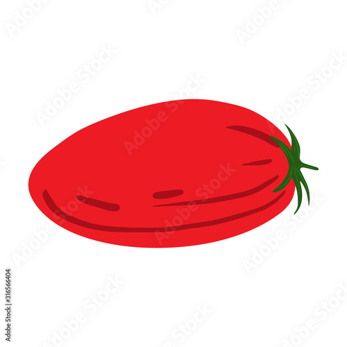 Hand drawn tomato isolated on white background. Doodle cherry tomatoes vegetable. Fresh organic ingredient. Vegetarian healthy food. Vector illustration