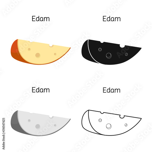 Isolated object of cheese and edem symbol. Graphic of cheese and piece stock symbol for web. photo