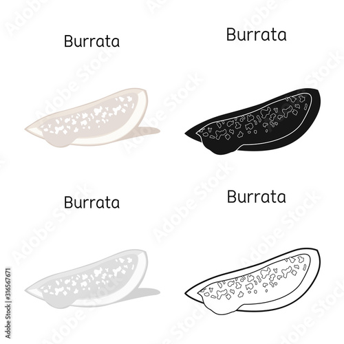 Vector design of cheese and burrata logo. Graphic of cheese and piece vector icon for stock.
