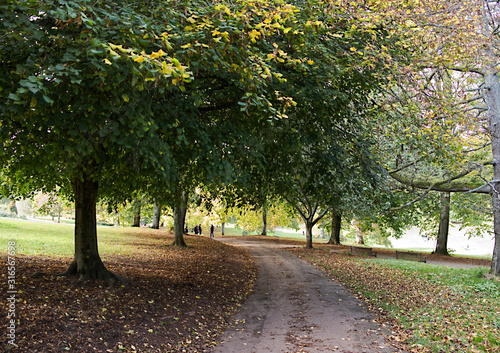 pathway through a park