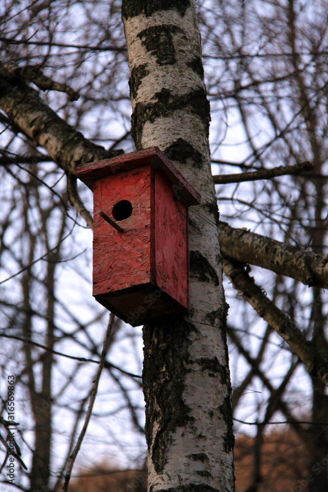 house for birds, birch. animal care park