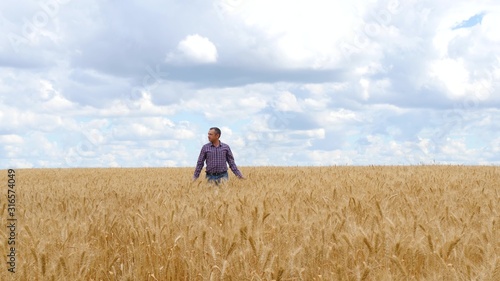 A man is a farmer in a field, examines a crop of golden wheat against a cloudy sky © julia_diak