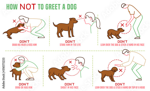 Dog Greetings Poster
