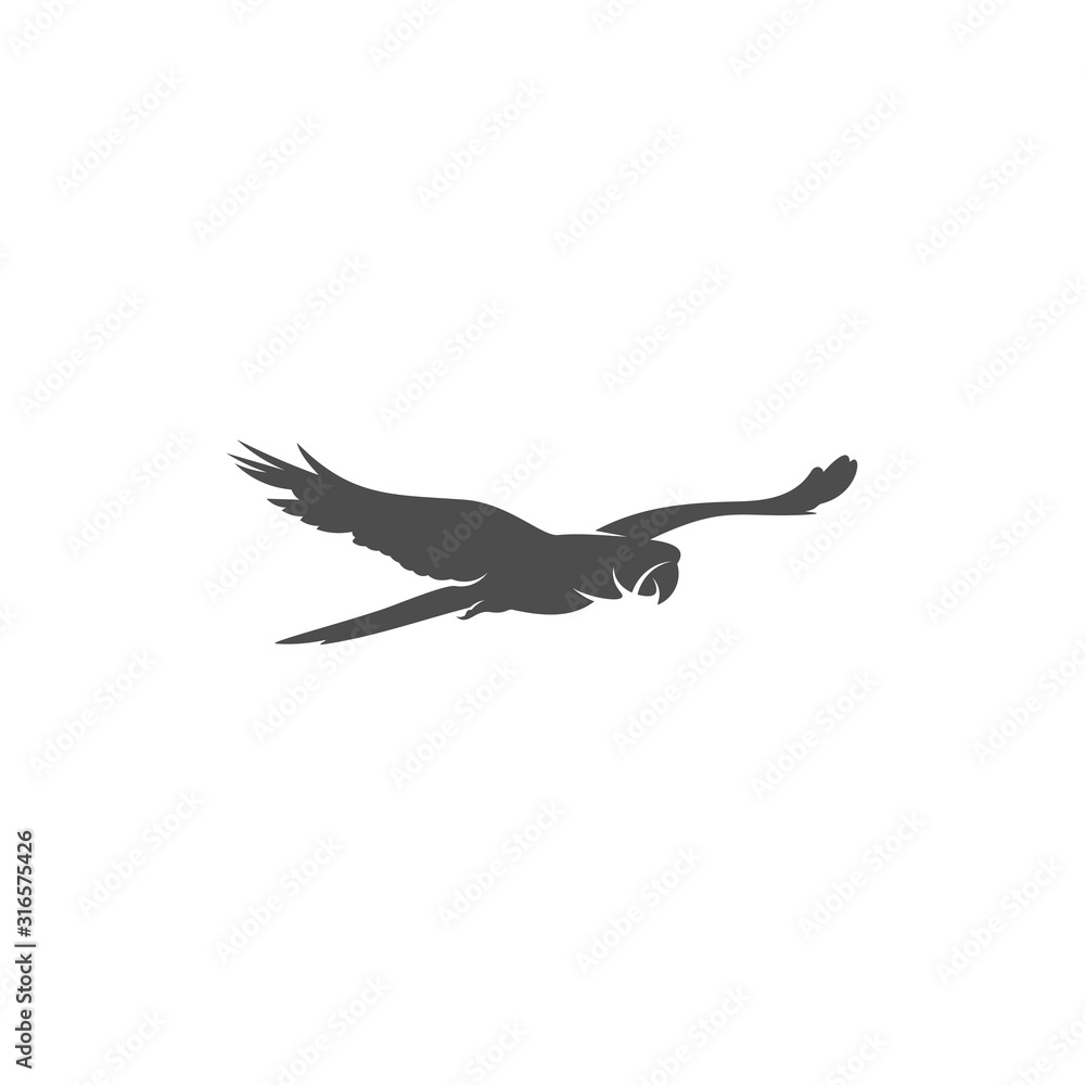 Parrot logo icon design vector illustration, Parrot logo template Parrot logo icon design vector illustration, Parrot logo template