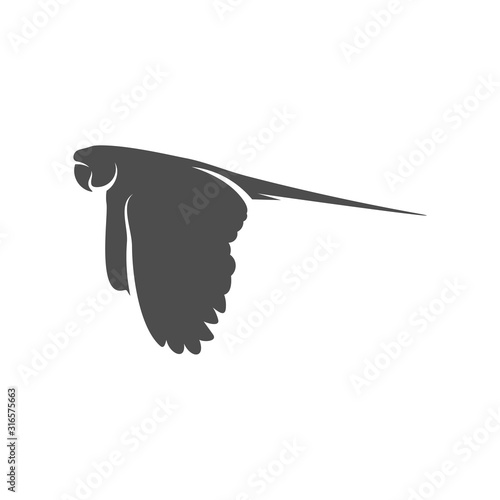 Parrot logo icon design vector illustration, Parrot logo template