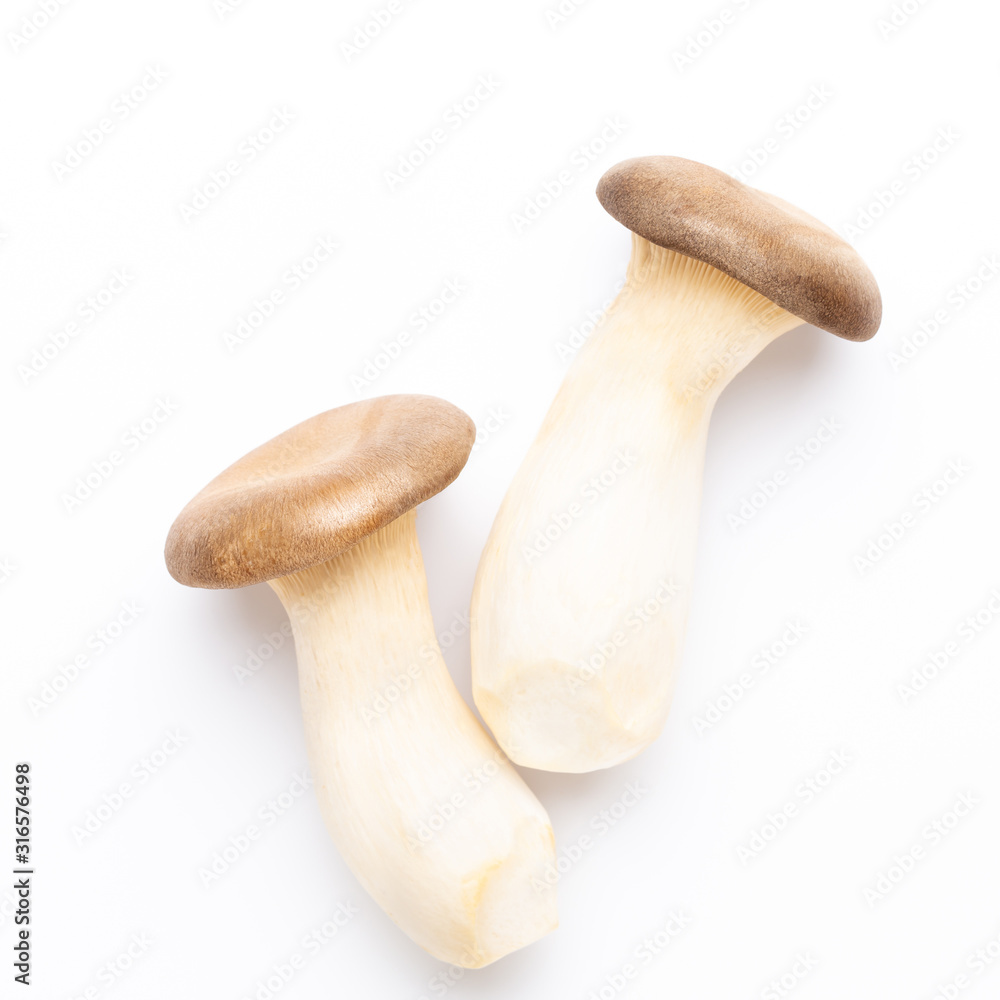 King oyster mushroom on white background. King oyster mushroom on white background.