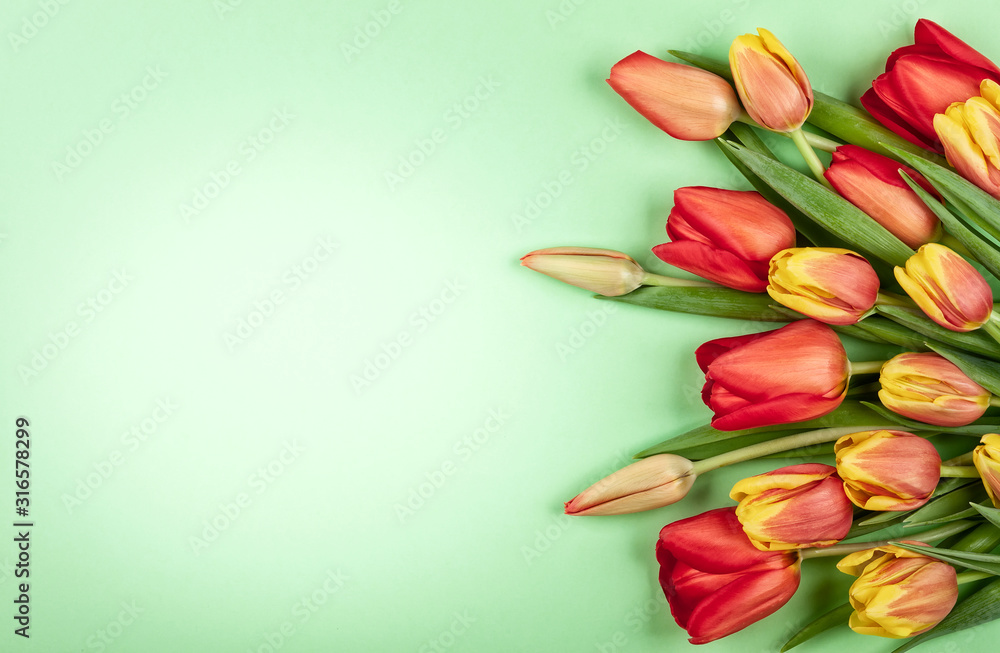 Beautiful red tulips flowers for holiday. Beautiful red tulips flowers for holiday.