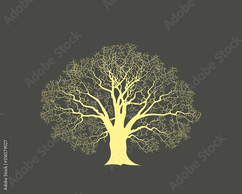 Oak tree logo. Isolated oak tree on white background