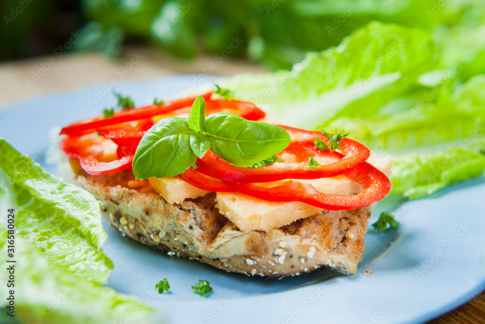 Toasted sandwich with cheddar cheese and sweet red pepper, decorated with fresh basil leaves. Toasted sandwich with cheddar cheese and sweet red pepper, decorated with fresh basil leaves.