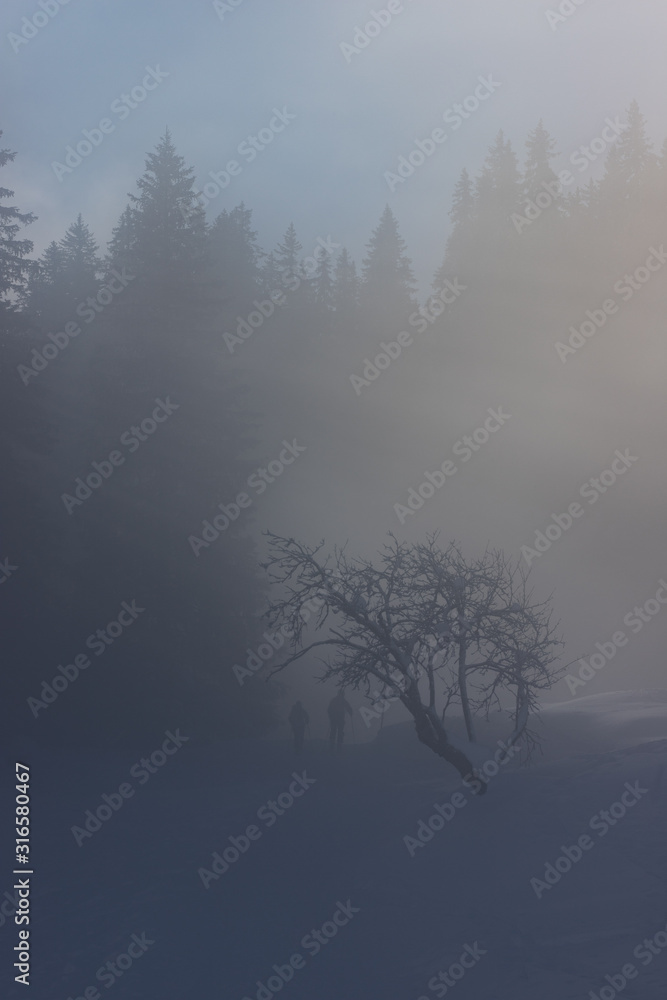 Sun and clouds in a forest of the Alps, Switzerland, Europe Sun and clouds in a forest of the Alps, Switzerland, Europe