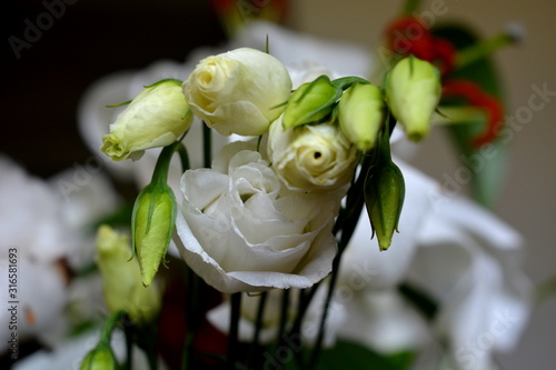 bouquet de roses blanche en bourgeons et boutons photo