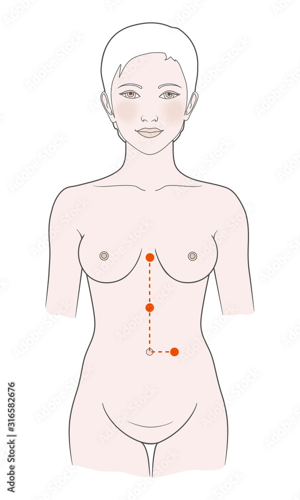 Active acupuncture points of massage on the body of a woman. Gynecology and reproductive system. Illustration.
