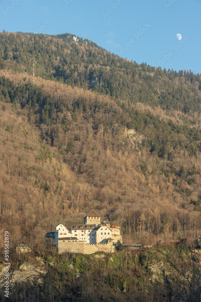 Castle Vaduz in the alps, Principality Liechtenstein, Europe