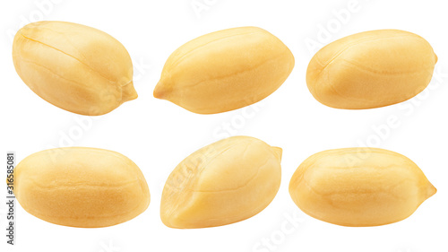 peanut isolated on white background, clipping path, full depth of field