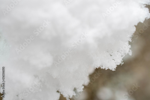 Snowflakes gathered togeder on a branch tree photographed  up close © Constantin