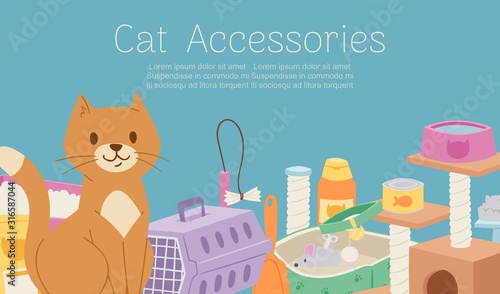 Cat care accessories and food cartoon vector illustration with pet food, stuff carrier, scratching post and pillow object set, items and cat toys. Pet shop poster or banner with typography.