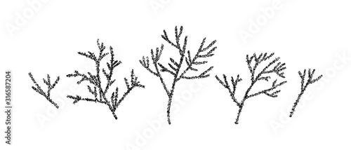 Hand drawn prickly branch collection painting by ink. Sketch botanical vector illustration. Black isolated outline plants on white background